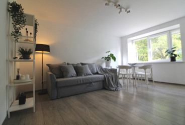 Cosy apartment with fresh renovation, fully ready to move in 