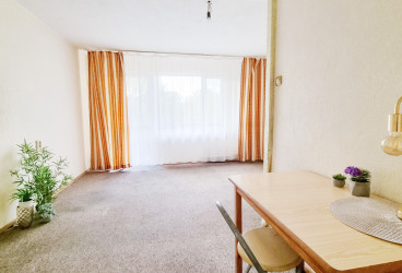 A warm, spacious apartment overlooking a green yard for a good price.