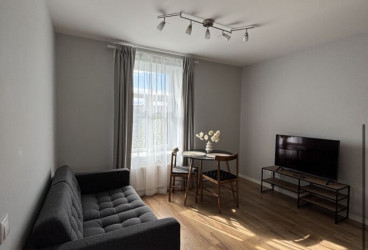 Cozy Renovated Apartment with a View and Great Location