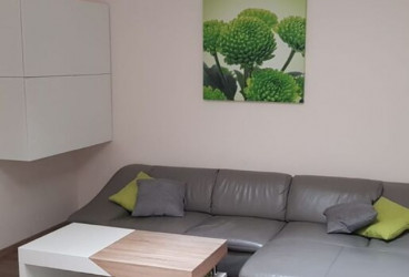 Quiet and Sunny Apartment for Rent